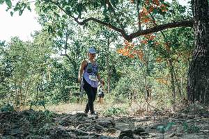 BIB: 
                            <button type="button" onclick="openModal(26097114)" class="btn btn-primary btn-sm float-right btn-popup" data-toggle="modal" data-target=".modal-high-quality">
                        <i class="fas fa-shopping-cart"></i> Add to Cart
                    </button>
                                            <button type="button" onclick="isThisMe(26097114, true)" class="btn btn-success btn-sm float-right btn-popup btn-isme hidden" data-toggle="tooltip" data-placement="bottom" title="นี่คือรูปของคุณใช่ไหม คลิกที่นี่เพื่อเอาเข้าอัลบั้ม">
                        <i class="fas fa-plus"></i> Add to album
                    </button>
                    <button type="button" onclick="isThisMe(26097114, false)" class="btn btn-warning btn-sm float-right btn-popup btn-isnotme hidden">
                        <i class="fas fa-ban"></i> Remove from album
                    </button>